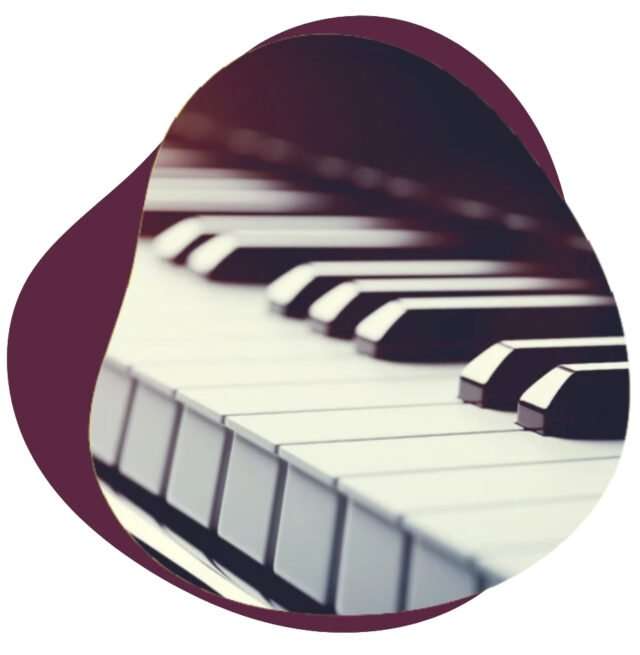 Close-up of black and white piano keys